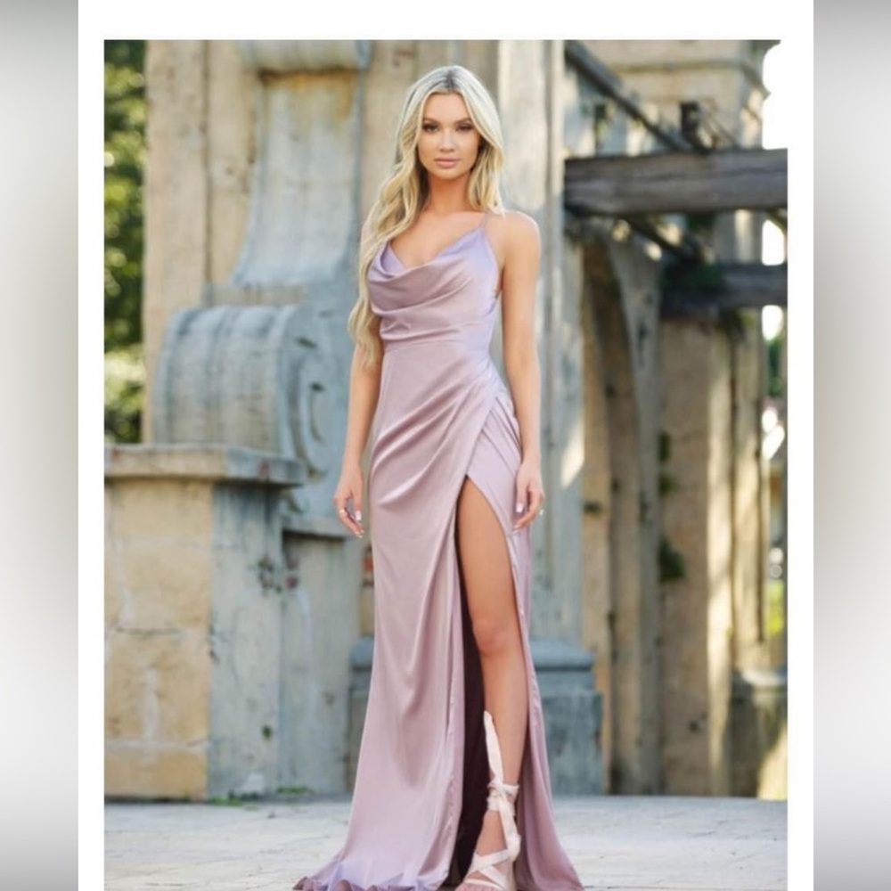 Cinderella mauve evening gown from Lady Black Tie. Size 6 NWT. The Tiana gown.
